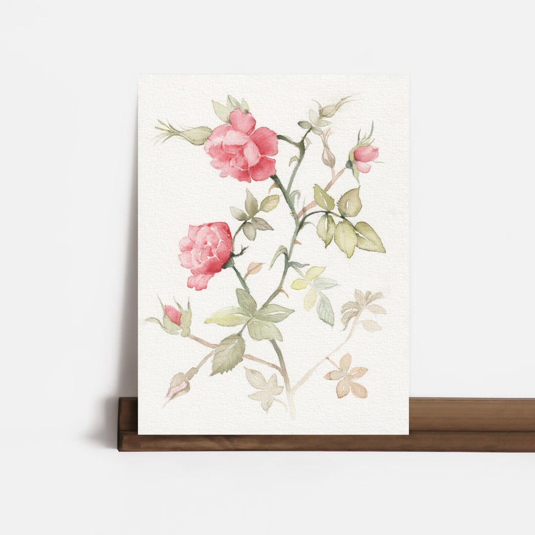 Original Watercolor Rose Painting: Romantic Floral Wall Art (5.9x8 In ...