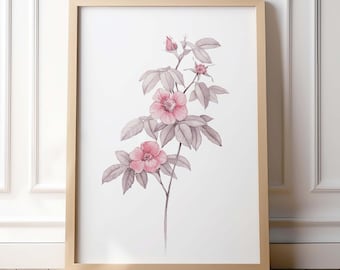 Pink Floral Wall Art Vintage Botanical Print Soft Feminine Bedroom Rose Decor