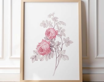 Pink Rose Wall Art Botanical Print Minimalist Floral Poster Vintage Style Home Decor
