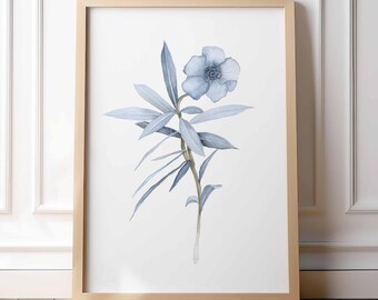 Könnte beinhalten: Ein gerahmter Aquarelldruck mit einer blauen Blume und Blättern. Das Kunstwerk ist vor einem weißen Hintergrund platziert und in einem hellen Holzrahmen gerahmt. Die botanische Illustration hat eine weiche, zarte Ästhetik.