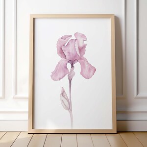 Impression d&#39;art aquarelle Iris : décoration murale florale botanique