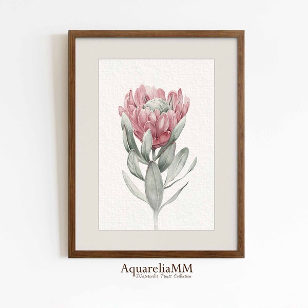 King Protea Watercolor Art Print, Hand Painted Archival Print, Minimalist Flower, Floral Wall Decor, Botanical Room Decor, Pink Colors Art