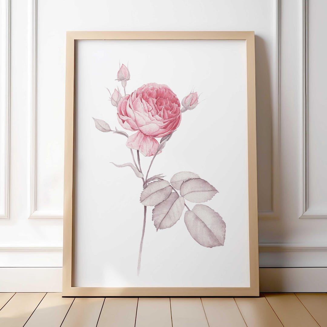 Pink Rose Botanical Print Minimalist Floral Wall Art Soft Romantic Room ...