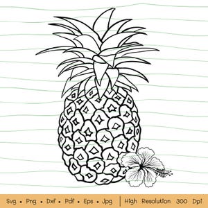 Ananas-Svg-Datei, Hand gezeichnete Ananas-Svg, Ananas-Svg-Schnitt-Datei, Obst-Svg-Schnitt-Datei, Hibiskus-Svg-Datei, Obst-Svg-Datei für Cricut