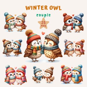Aquarell Winter Eule, flirten Eule, Romantische Eule Clipart, Eule Paar PNG, Süße Eule, Liebe Clipart, Valentinstag, Weihnachtspaar