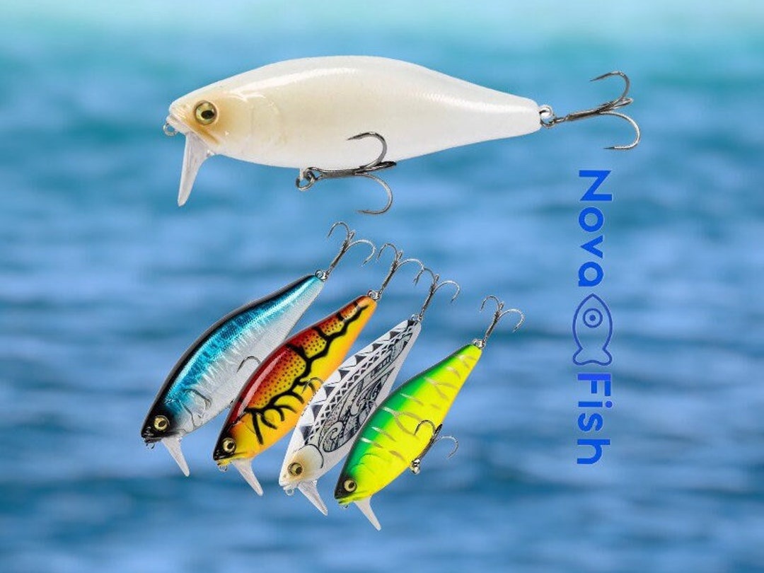 RIGID FLOATING Minnow Lure With Noise System Artificial Etsy
