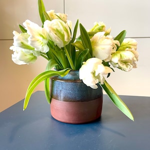 Könnte beinhalten: Ein Strauß weißer Tulpen mit grünen Spitzen in einer blauen und braunen Keramikvase. Die Vase hat eine dunkelblaue Glasur mit einem braunen Band um die Mitte.