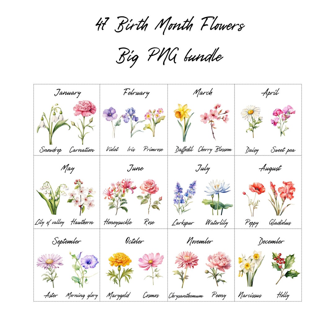 Watercolor Birth Month Flower Kit 47 Watercolor Floral PNG Clipart Set ...