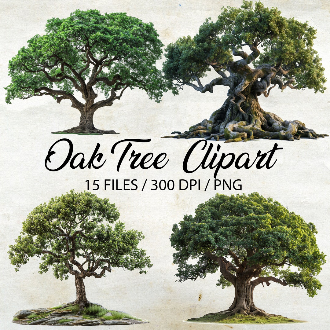 Oak Tree Clipart, Oak Forest Clipart Bundle, 15 Oak Tree Bundle, Tree ...