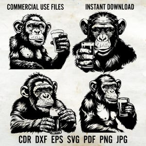 Monkey SVG, Beer SVG Bundle, Png, Funny Monkey Clipart, Hand Drawn Cool Monkey Vector Illustration, SVG Files For Laser Files