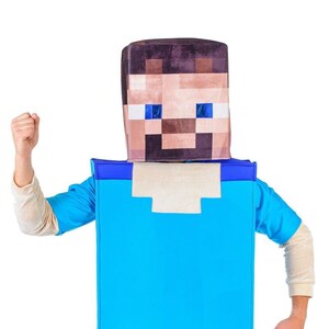 Minecraft Stiv costume for men