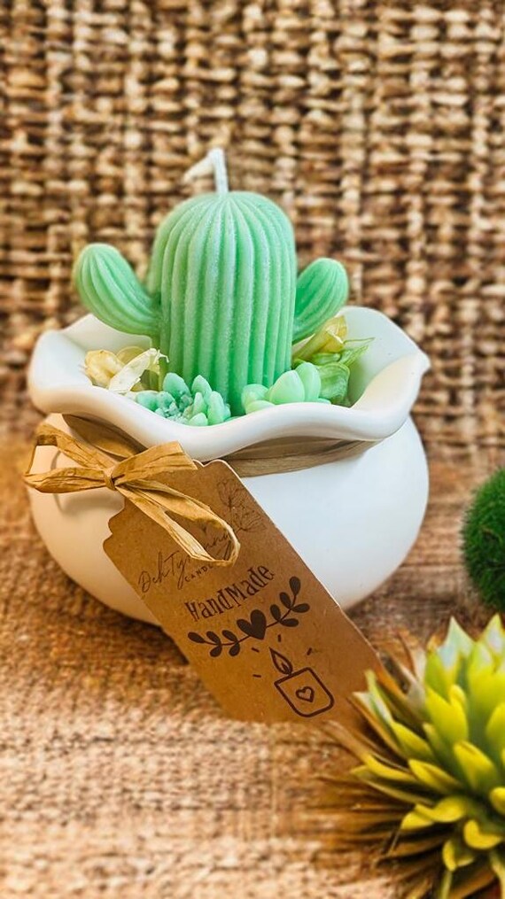 Der kleine Kaktus ist eine mit Kakteen verzierte Kerze, die sich perfekt  dazu eignet, Ihrem Zuhause einen Hauch von Natur und Design zu verleihen. -  Etsy.de