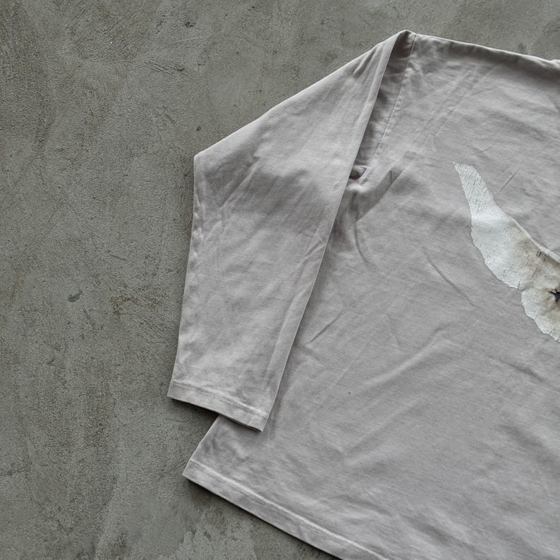 May include: A long-sleeve shirt in a muted light gray color. The garment features a partial graphic print on the right side, showing a white, textured wing-like shape with a small dark detail at the center of the design.
