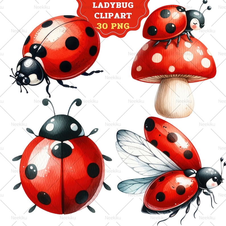Może przedstawiać: Zestaw czterech akwarelowych ilustracji przedstawiających biedronki. Jedna biedronka siedzi na czerwono-białym grzybie. Inna biedronka leci z rozłożonymi skrzydłami. Dwie pozostałe biedronki są na ziemi. Ilustracje są w stylu kresk&oacute;wkowym i idealnie nadają się do scrapbookingu, tworzenia kartek lub innych projekt&oacute;w rękodzielniczych.