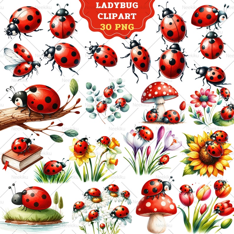 Może przedstawiać: Zestaw 30 cyfrowych obraz&oacute;w clipart przedstawiających biedronki w r&oacute;żnych pozach i ustawieniach. Biedronki są przedstawione w stylu akwarelowym z czerwonymi ciałami i czarnymi kropkami. Są pokazane na kwiatach, grzybach, liściach i książkach. Clipart jest idealny do dodania odrobiny fantazji do Twoich projekt&oacute;w cyfrowych.