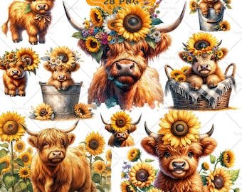 Clipart de Girassol de Vaca das Terras Altas: Floral de Verão PNG (Uso Comercial)