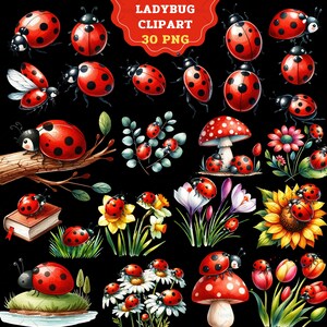 Może przedstawiać: Zestaw cyfrowych grafik z 30 ilustracjami biedronek w formacie PNG. Zestaw zawiera biedronki w r&oacute;żnych pozach, na kwiatach, grzybach i gałęziach. Biedronki są czerwone z czarnymi kropkami, a niekt&oacute;re mają białe akcenty.