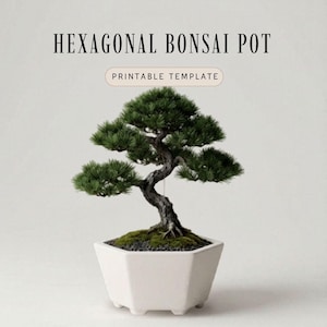 Op de afbeelding: Een witte, zeshoekige bonsai pot met een groene bonsai boom. De boom heeft een donkere, gedraaide stam en weelderig groen gebladerte. De tekst "HEXAGONAL BONSAI POT" en "PRINTABLE TEMPLATE" staat bovenaan de afbeelding.