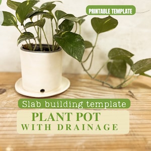 Könnte beinhalten: Druckbare Vorlage für einen Pflanzentopf mit Drainage. Die Vorlage zeigt einen weißen Keramiktopf mit einem Abzugsloch und einer passenden Untertasse. Eine grüne Topfpflanze mit panaschierten Blättern steht auf einer Holzoberfläche.