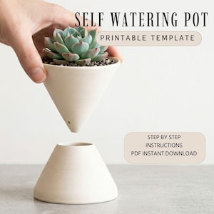 Puede incluir: Una maceta autorriego con una planta suculenta. La maceta en forma de cono de color blanquecino está en dos partes, con la sección superior sostenida por una mano. El texto en la imagen dice "SELF WATERING POT PRINTABLE TEMPLATE" y "STEP BY STEP INSTRUCTIONS PDF INSTANT DOWNLOAD."
