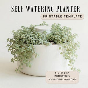 Könnte beinhalten: Ein weißer Selbstbewässerungstopf mit einer üppigen grünen Pflanze. Der Topf hat eine runde Form und einen kleinen, weißen Deckel. Der Text "SELF WATERING PLANTER" und "PRINTABLE TEMPLATE" stehen oben. Der Text unten lautet "STEP BY STEP INSTRUCTIONS PDF INSTANT DOWNLOAD".