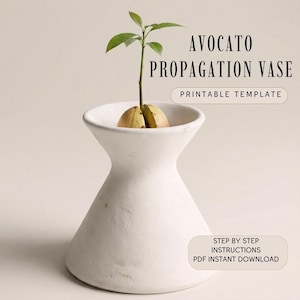 Avocato-vermeerderingsvaas Aardewerksjabloon: plaatbouw pdf (directe download)