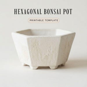 May include: A cream-colored, hexagonal bonsai pot with a textured surface. The pot has a geometric design and sits on three small feet. Text at the top reads "HEXAGONAL BONSAI POT" and "PRINTABLE TEMPLATE" below.
