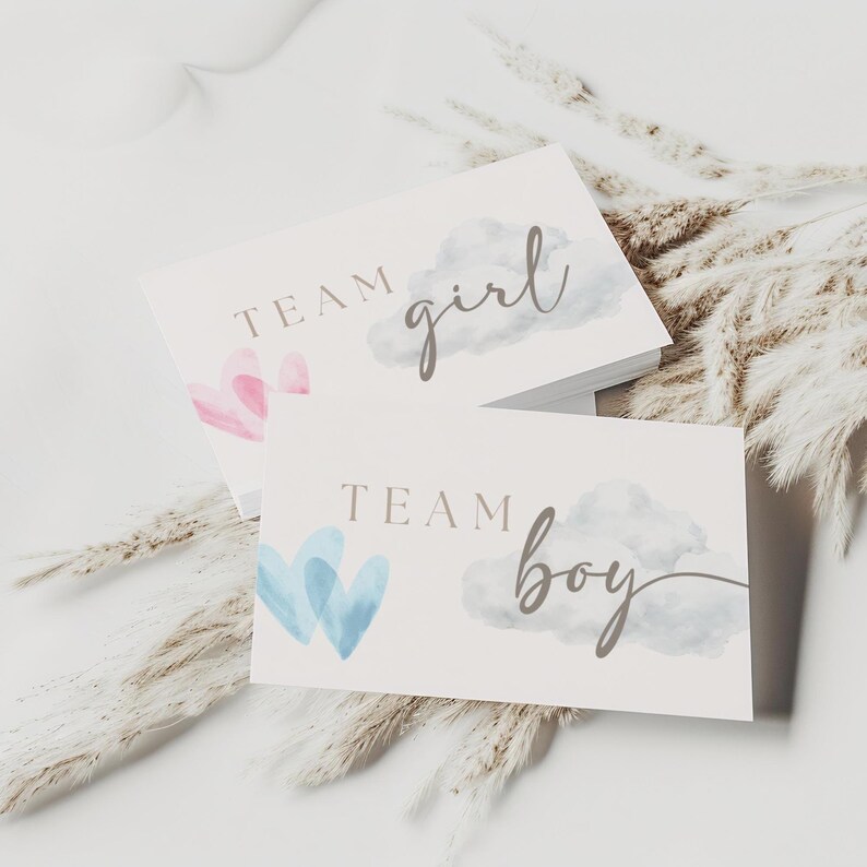 Cloud Gender Reveal Invitation, A Little Piece of Heaven Invite, Editable Boho Cloud 9 Template Editable Printable (Digital Download) GH01 image 18