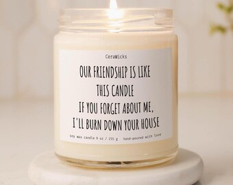 Funny Friendship Candle, Housewarming Gift, Sarcastic Candle Gift For Friend, Christmas Gift,  Adult Humor Home Decor, Vegan Candle 9oz