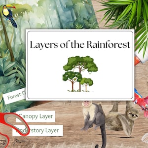 以下が含まれることがあります： Layers of the Rainforestというタイトルの教育用ポスター。オオハシ、サル、ナマケモノ、コンゴウインコのイラストが描かれています。ポスターにはForest Floor、Canopy Layer、Understory Layerのラベルがあり、赤いハサミが添えられています。