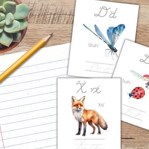 May include: Educational printables featuring cursive alphabet letters with watercolor illustrations of a dragonfly, ladybug, and fox. A yellow pencil and a succulent plant in a brown pot sit on a wooden surface next to lined paper.