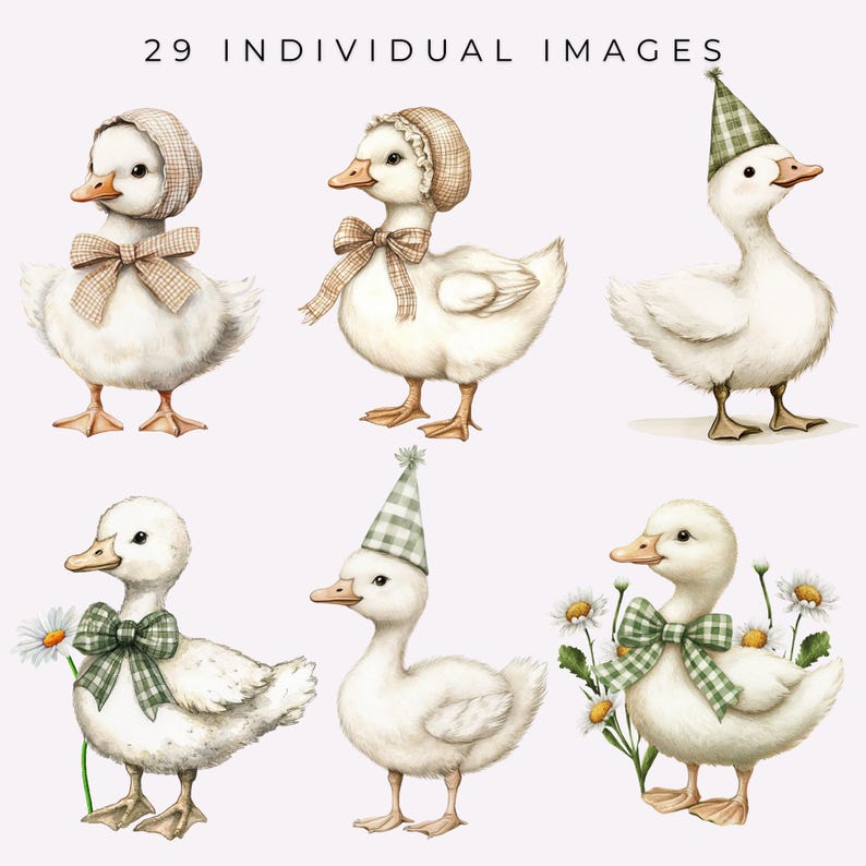 Silly Goose Clipart Goose Party PNGs Watercolor Birthday Baby Shower Nursery Clipart Vintage Cottagecore Spring Wildflowers Commercial Use image 3