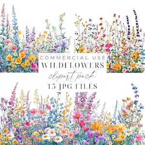 Wildflowers Clipart Summer Wildflowers Clipart Bundle Spring Flowers JPGs Printable Spring Floral Images Card Making Crafts Commercial Use