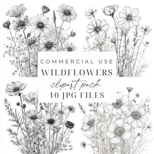 Wilde bloemen tekening clipart zwart-witte bloem illustratie JPGs Wildflower schets schets clipart Floral lijntekeningen digitale download
