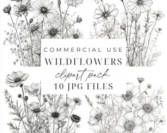 Wildflowers Drawing Clipart Black and White Flower Illustration JPGs Wildflower Sketch Outline Clipart Floral Line Art Digital Download