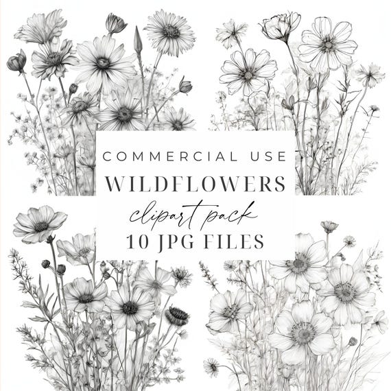 Wildflowers Drawing Clipart Black and White Flower Illustration JPGs Wildflower Sketch Outline Clipart Floral Line Art Digital Download