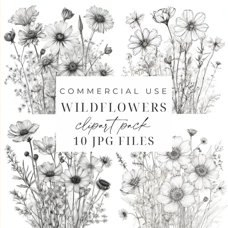 Wildflowers Drawing Clipart Black and White Flower Illustration JPGs Wildflower Sketch Outline Clipart Floral Line Art Digital Download