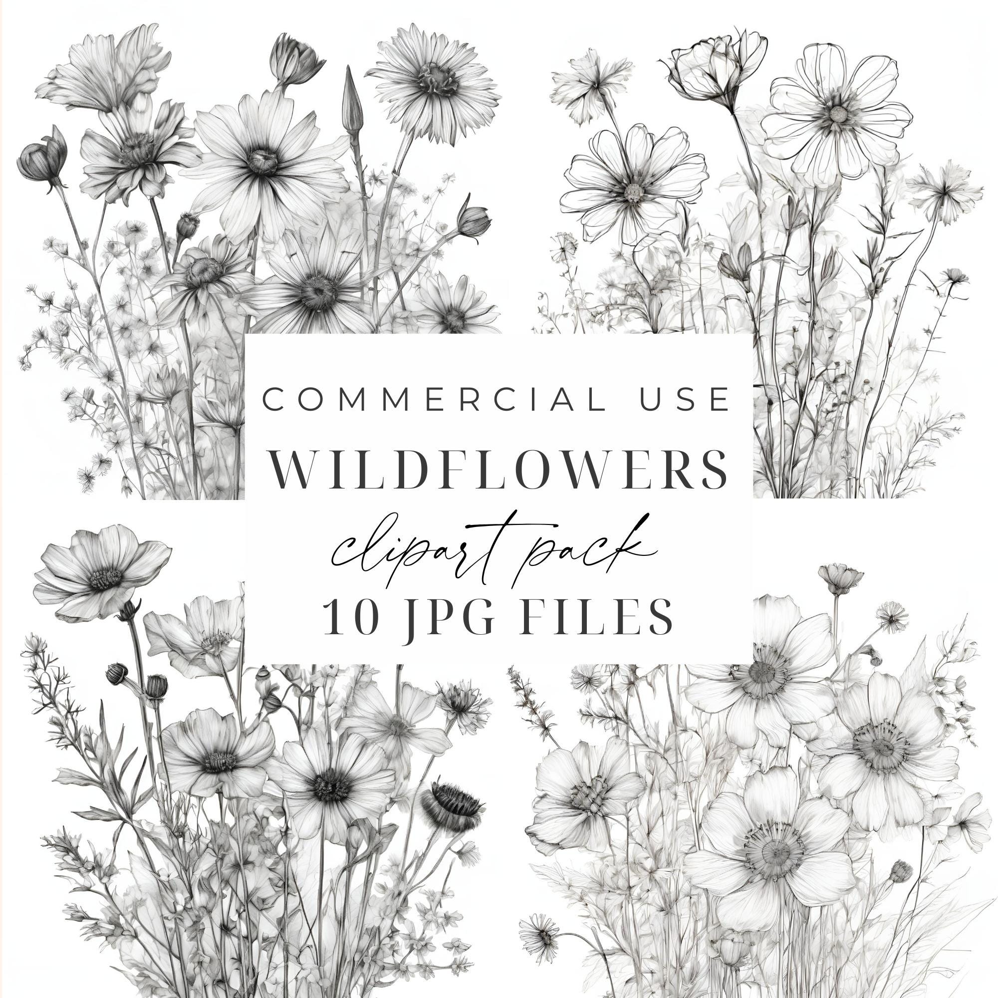 Wildflowers Drawing Clipart Black and White Flower Illustration JPGs Wildflower Sketch Outline Clipart Floral Line Art Digital Download
