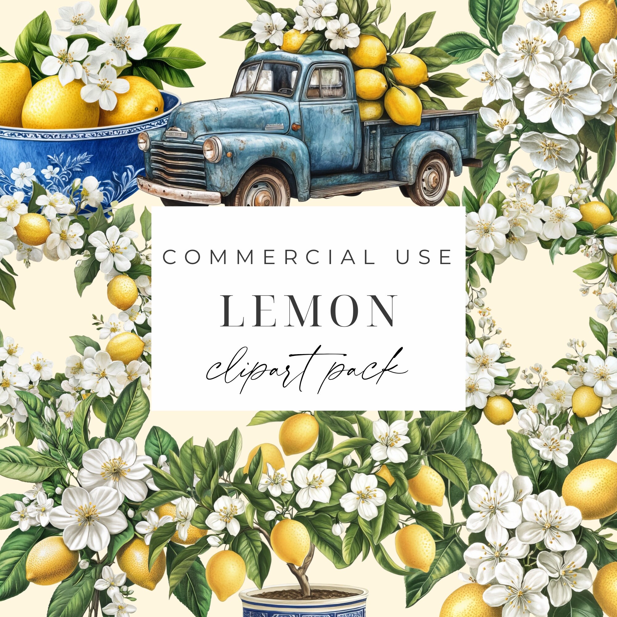 Lemons Clipart Transparent PNG Mediterranean Lemon Clipart Citrus Fruit Clipart Lemon Tree PNGs Italian Lemons Graphics Instant Download