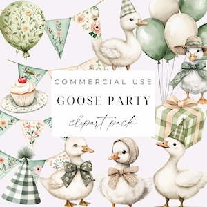 Silly Goose Clipart Goose Party PNGs Watercolor Birthday Baby Shower Nursery Clipart Vintage Cottagecore Spring Wildflowers Commercial Use image 1