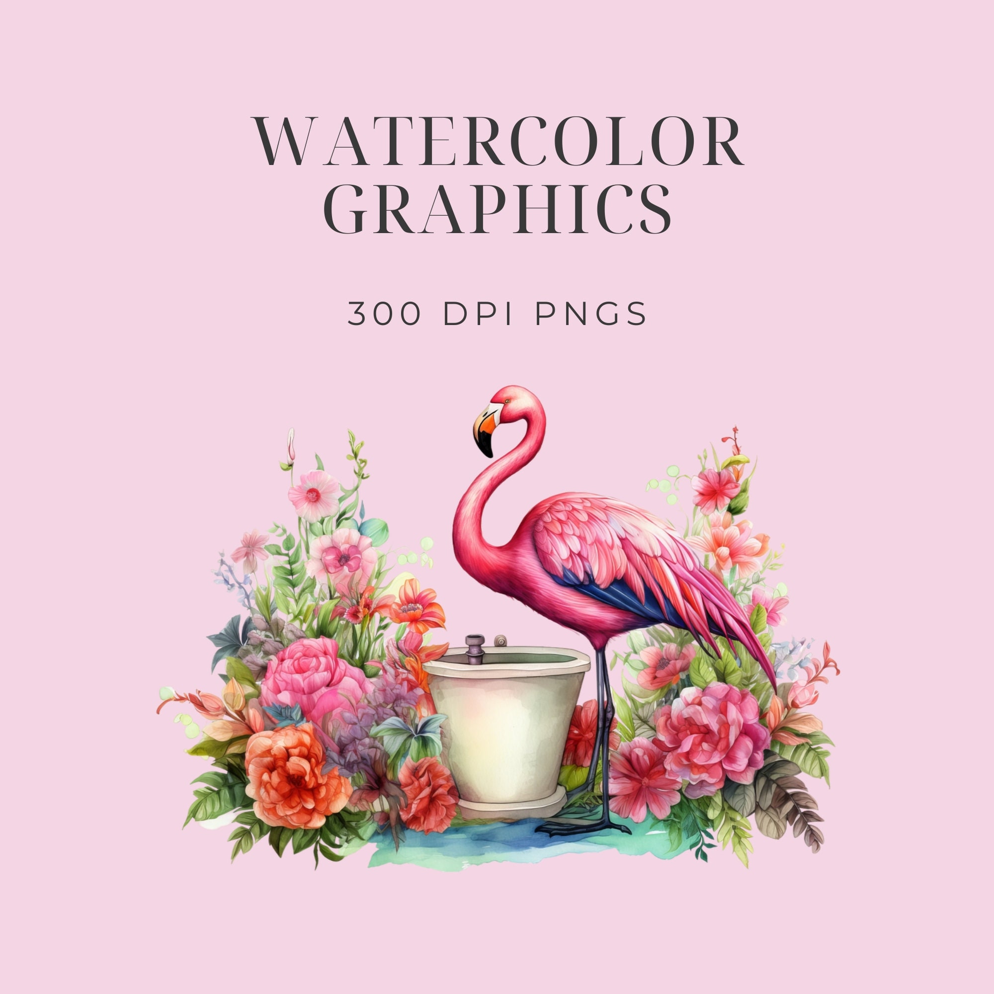 Flamingo Clipart Set Pngs, Commercial Use, Flamingo Digital Clipart