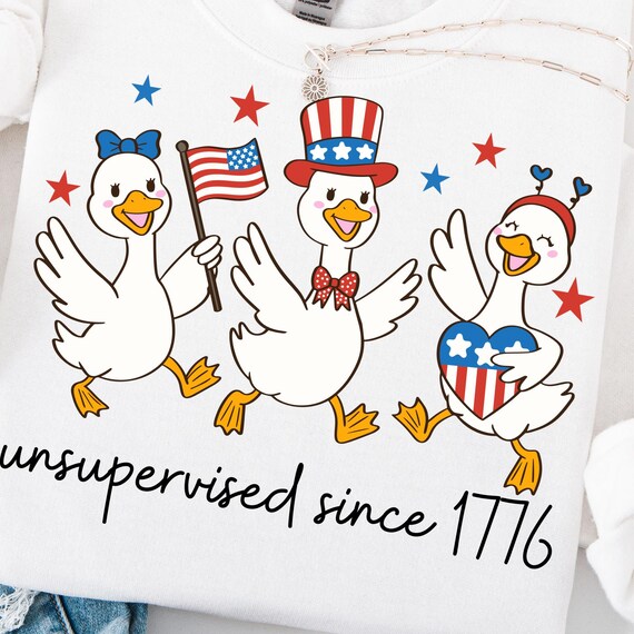 Preppy 4th Of July Goose PNG Funny Patriotic Goose png Design Silly Goose Tee Shirt png Coquette USA png File American Anniversary png