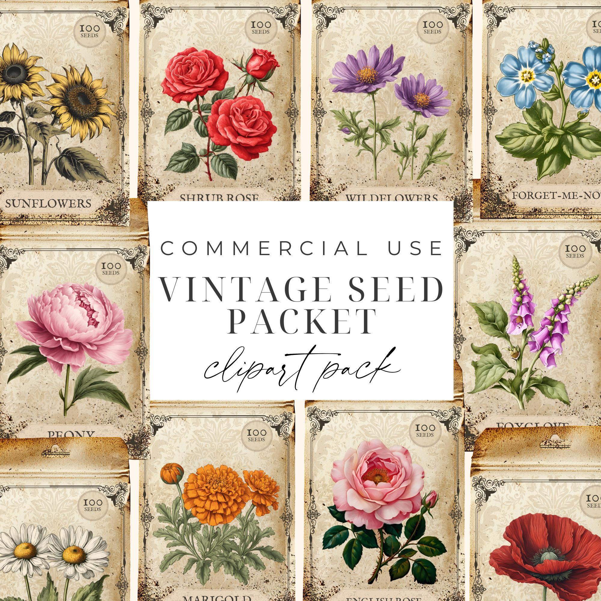 Flower Seed Packets Clipart Vintage Seed Packets Junk Journal PNG Seed Packets Digital Download English Garden Clipart Old Epherema Graphics