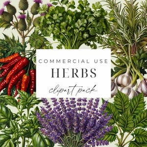 Könnte beinhalten: Ein digitales Clipart-Paket mit verschiedenen Kräutern, darunter Lavendel, Rosmarin, Knoblauch, Koriander und Chilischoten. Der Text "COMMERCIAL USE HERBS clipart pack" wird auf einem weißen Rechteck angezeigt.