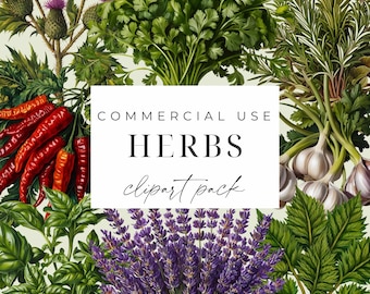 Herbs Clipart PNG Medicinal Herbs Clipart Illustration Watercolor Botanical Herbs Digital Download Garden Herb Plants Printable Paper Crafts