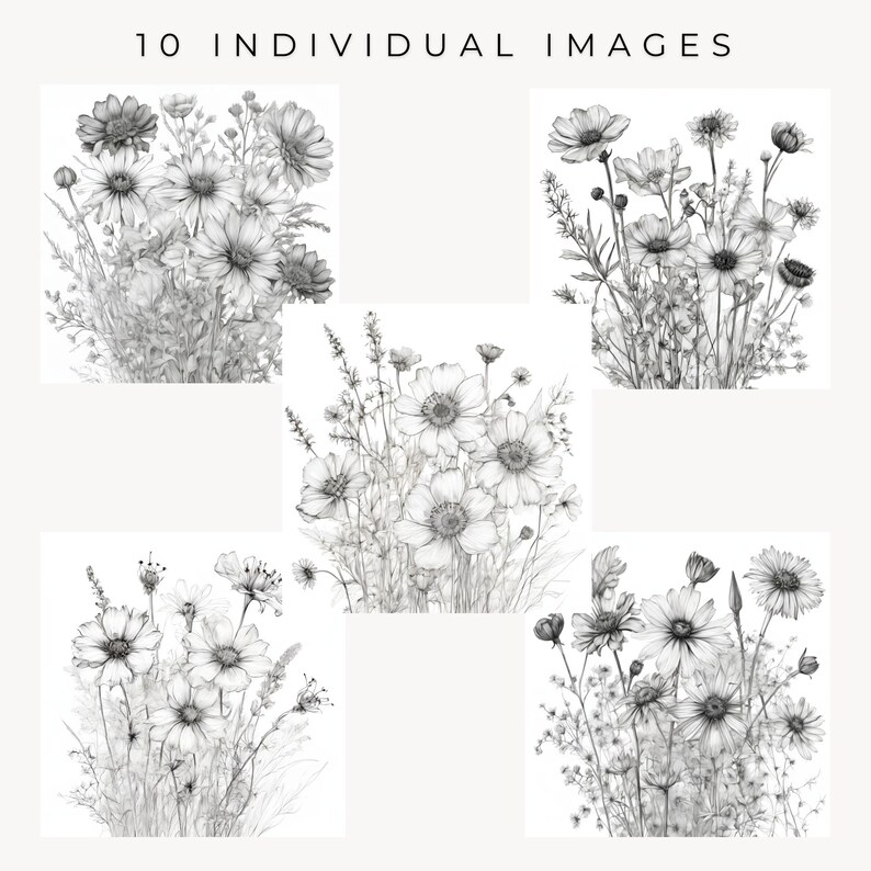 May include: A black and white pencil drawing of a bouquet of wildflowers. The flowers are drawn in a realistic style, with delicate details of the petals and leaves.