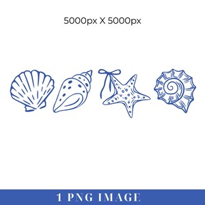 Puede incluir: Ilustraciones en l&iacute;nea azul de conchas marinas y una estrella de mar sobre un fondo blanco. La imagen incluye una concha de vieira, una concha de caracola, una estrella de mar con lazo y una concha en espiral. El texto "1 PNG IMAGE" est&aacute; en la parte inferior.