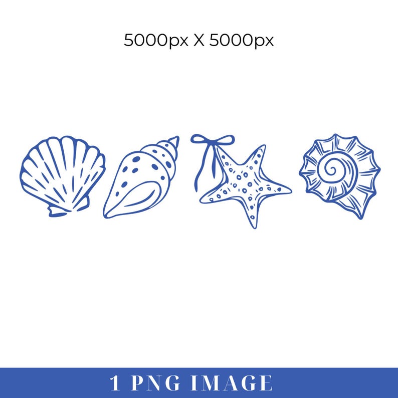 Puede incluir: Ilustraciones en l&iacute;nea azul de conchas marinas y una estrella de mar sobre un fondo blanco. La imagen incluye una concha de vieira, una concha de caracola, una estrella de mar con lazo y una concha en espiral. El texto "1 PNG IMAGE" est&aacute; en la parte inferior.