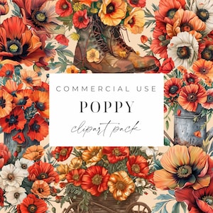 Conjunto de clipart floral de papoula Califórnia Poppy Clip Art Bundle Buquê de papoula Fundo transparente Cottagecore Aquarela Flores de verão PNG
