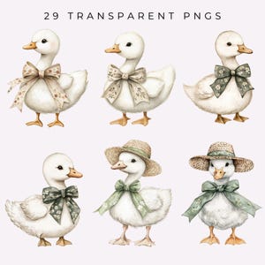 Silly Goose Clipart Goose Party PNGs Watercolor Birthday Baby Shower Nursery Clipart Vintage Cottagecore Spring Wildflowers Commercial Use image 2